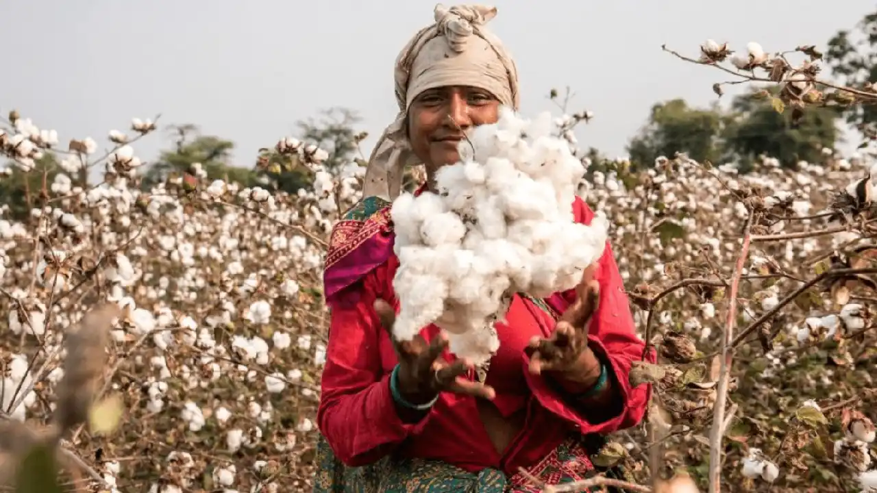 Restitching Confidence in India’s Textile Industry: Duty Waiver Impact